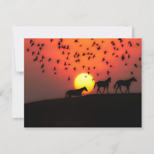 Beautiful Silhouette Sunset Postcard