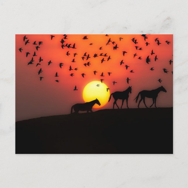 Beautiful Silhouette Sunset Postcard (Front)