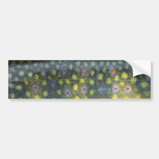 Beautiful Skin, Jordan River Brookie Bumper Sticker