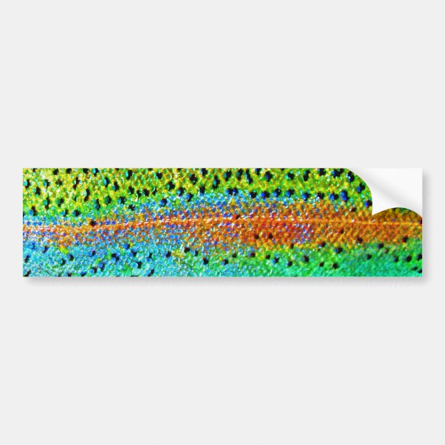 "Beautiful Skin, Rainbow Blue" Bumper Sticker (Front)