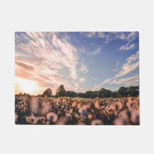 beautiful sky over the plain doormat