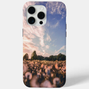 beautiful sky over the plain iPhone 15 pro max case