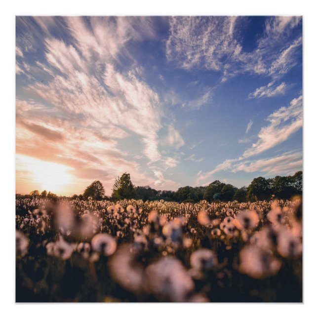 beautiful sky over the plain poster (Front)