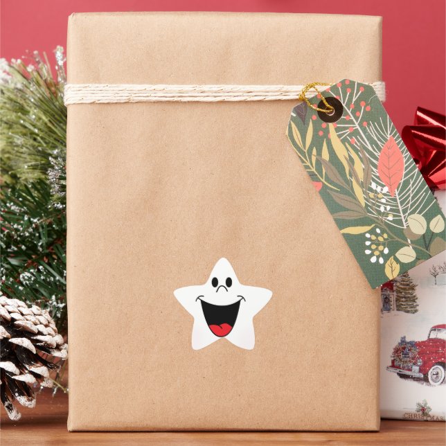 Beautiful Smile Star Sticker (Holiday)