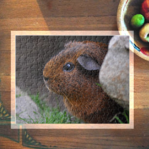 Beautiful, Smooth, Gold Agouti Guinea Pig Jigsaw Puzzle