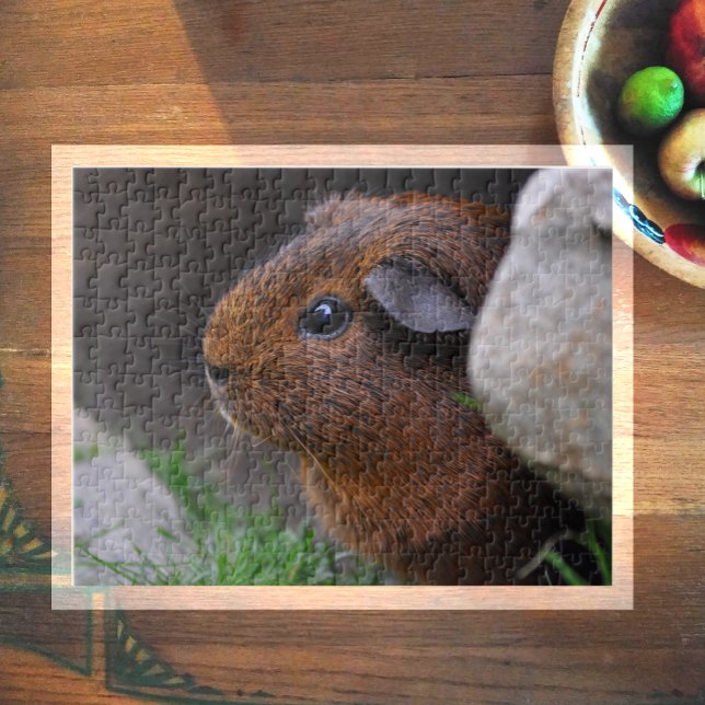 Beautiful, Smooth, Gold Agouti Guinea Pig Jigsaw Puzzle (Creator Uploaded)