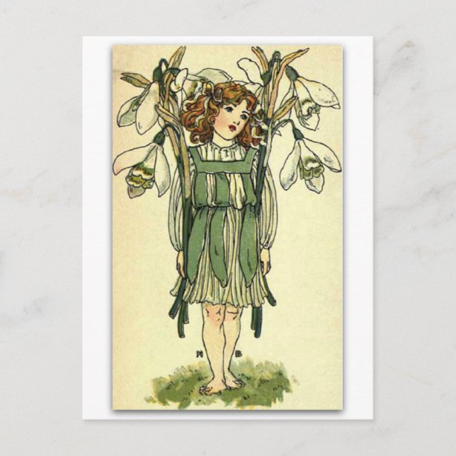 Beautiful Snow drops by NELLIE BENSON Postcard (Front)