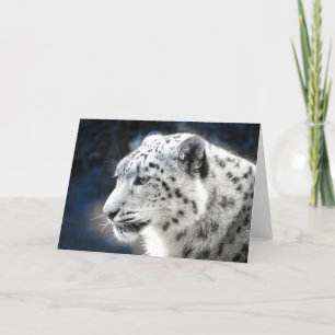 Beautiful Snow Leopard Greeting Card