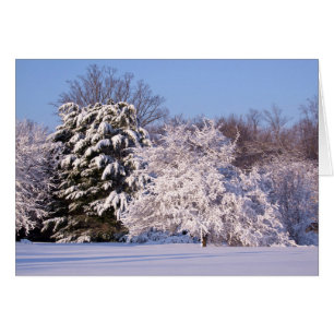 Beautiful Snow Scene Photo