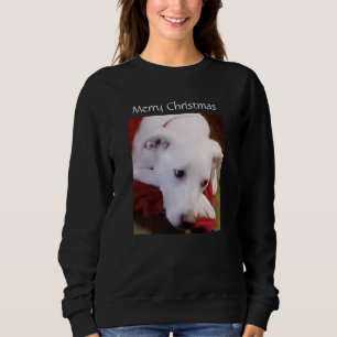 Beautiful Snowy White Puppy Dog Christmas Black Sweatshirt