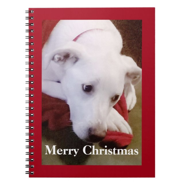 Beautiful Snowy White Puppy Dog Christmas Red Notebook (Front)