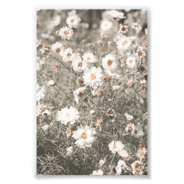Beautiful Snowy White Wildflower Floral Photo Print (Front)