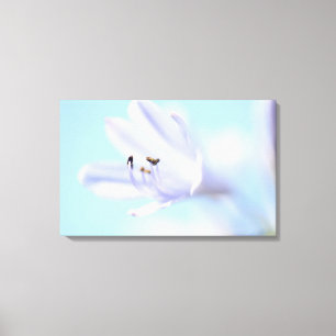 Beautiful Soft Blue Flower Stretched Canvas Print