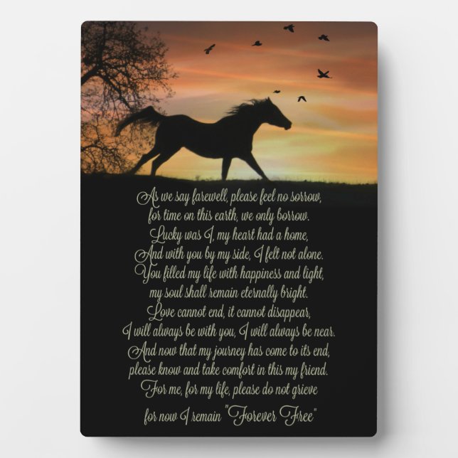 Beautiful Spiritual Horse Memorial with Poem Plaque (Front)
