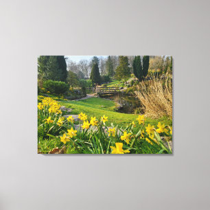 Beautiful Spring Daffodils Canvas Print