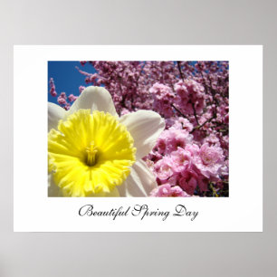 Beautiful Spring Day art prints Yellow Daffodil