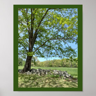 Beautiful Spring Day Print