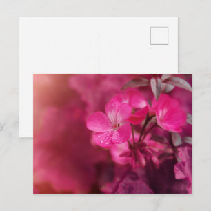 Beautiful spring flowers postcard