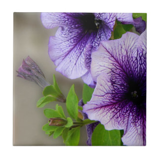 Beautiful spring flowers purple tile