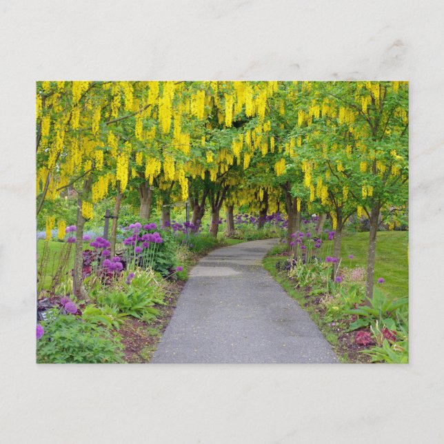 Beautiful spring garden path postcard (Front)