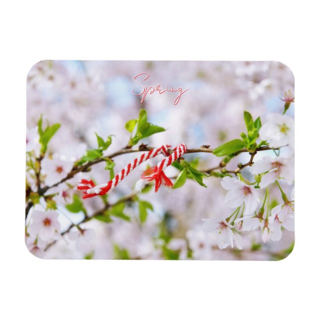 Beautiful spring greeting magnet (Horizontal)