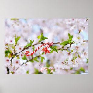 Beautiful spring greeting poster