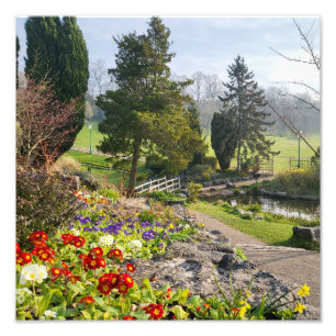 Beautiful Spring Morning  Photo Print