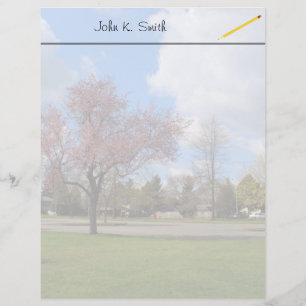 Beautiful spring park landscape photography