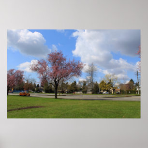 Beautiful spring park landscape photography poster