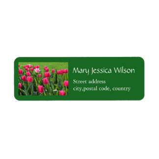 Beautiful spring pink tulip flowers green personal