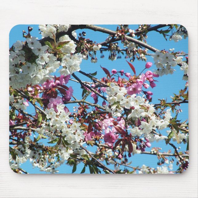 Beautiful spring pink, white cherry blossom mouse pad (Front)