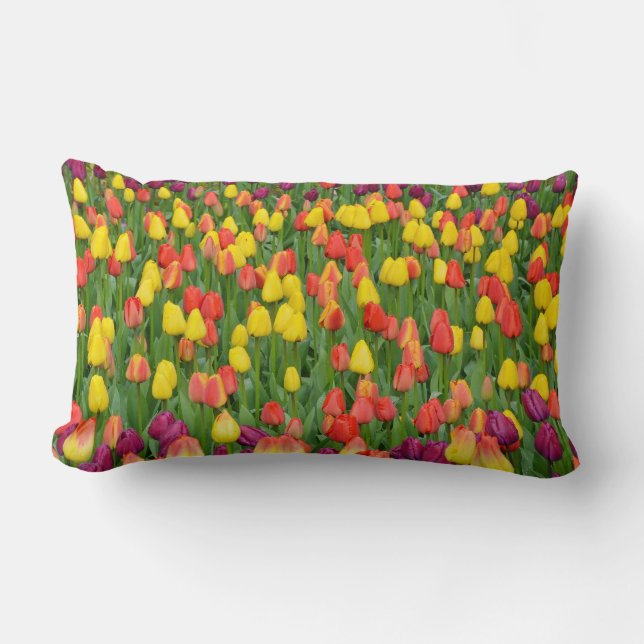 Beautiful spring tulip garden pillow (Front)