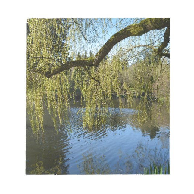 beautiful spring willow trees by water pond. notepad (Front)