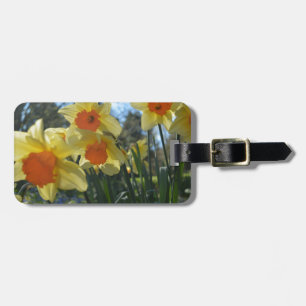 Beautiful spring yellow,orange daffodil flowers luggage tag
