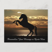 Beautiful Stallion Horse in Sunset Personalise