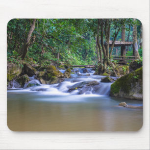 Beautiful Stream in the Forest Mouse Pad