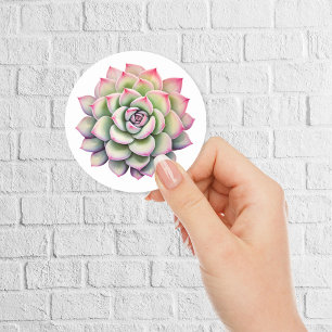 Beautiful Succulent Flower Watercolor Classic Round Sticker