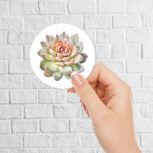 Beautiful Succulent Flower Watercolor Classic Round Sticker