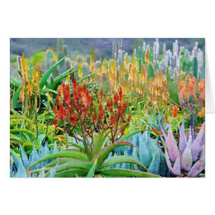 Beautiful succulent garden note card