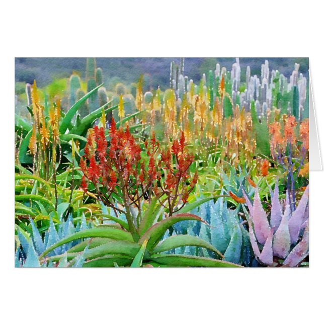 Beautiful succulent garden note card (Front Horizontal)