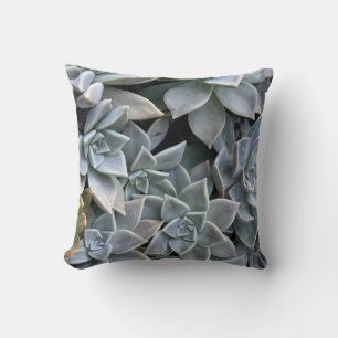 Beautiful Succulent Plant Photo Cushion