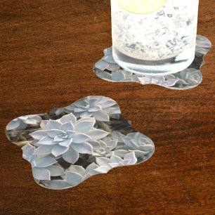 Beautiful Succulents Botanical Photographic Paper Coaster