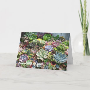 Beautiful Succulents Card