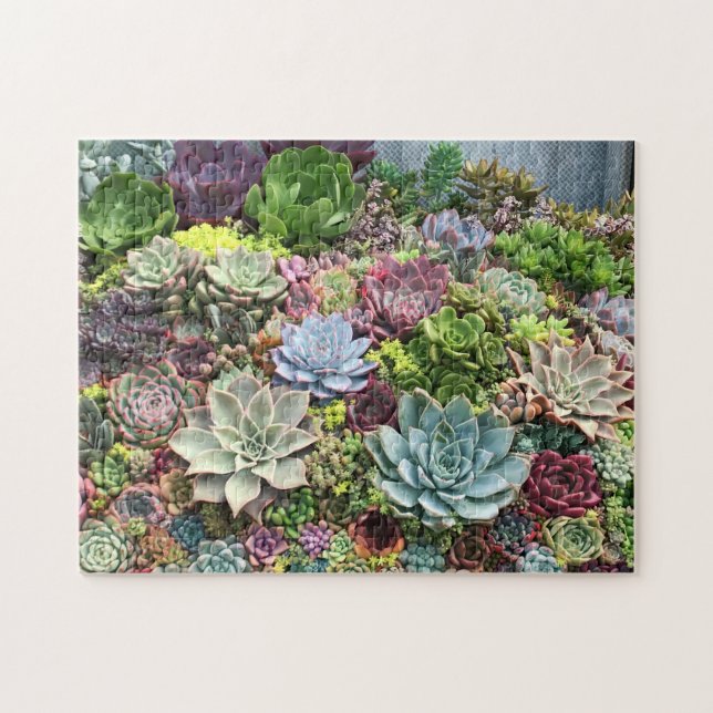 Beautiful Succulents Jigsaw Puzzle (Horizontal)