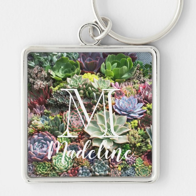 Beautiful Succulents Key Ring (Front)