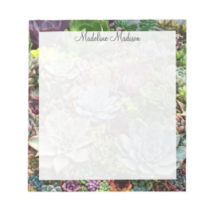 Beautiful Succulents Notepad