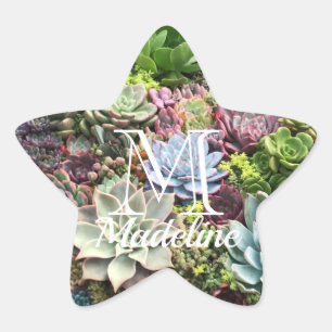 Beautiful Succulents Star Sticker