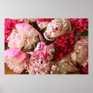 Beautiful summer flowers. Bouquet of pink peony an Poster