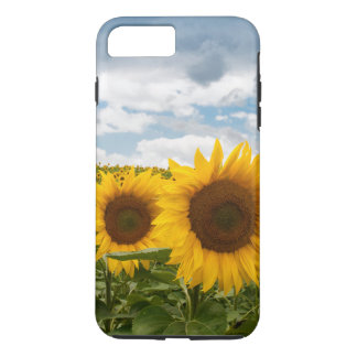 beautiful summer sunflowers Case-Mate iPhone case