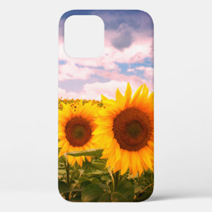 Beautiful summer sunflowers iPhone 12 case